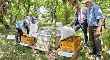Meşe Ağaçları Bal Vermeye Hazırlanıyor
