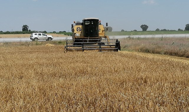Hasat Kontrolleri Titizlikle Sürüyor