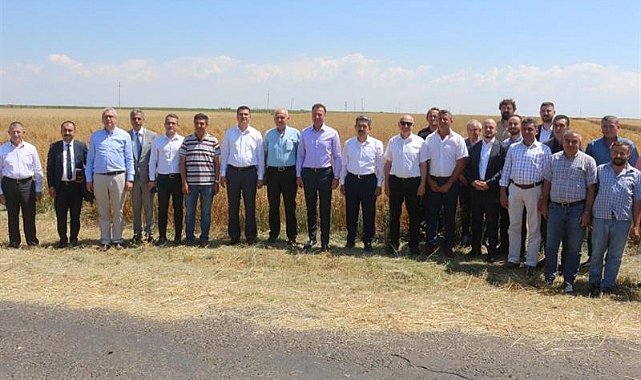 Kırklareli’nde Yulaf Yetiştiriciliği Giderek Önem Kazanıyor