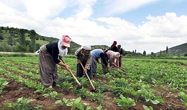 Şaylan