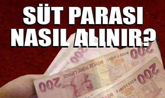 Emzirme Ödeneği Almayı Unutmayın!