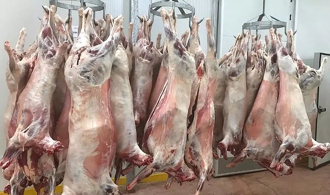 Kırklareli’nde Kaçak Hayvan Geçişlerine İzin Yok!