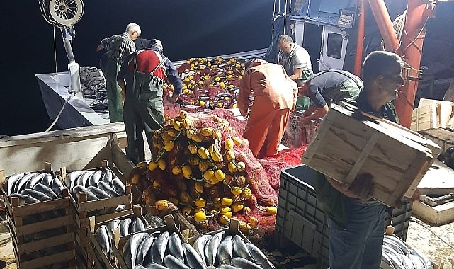 İğneada’da Palamut Bereketi