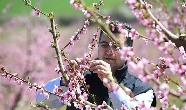 Müdür Aksoy, Yeni Mahalle Köyünde