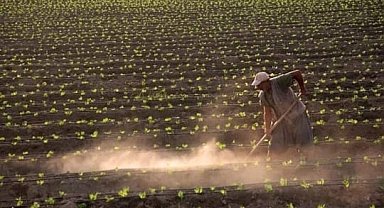 Şaylan’dan 14 Mayıs Kutlaması