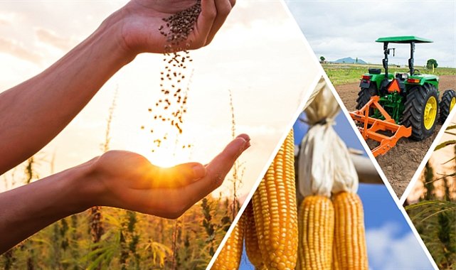 197 Milyon 283 Bin Liralık Destekleme Ödemesi Bugün Hesaplara Aktarılacak