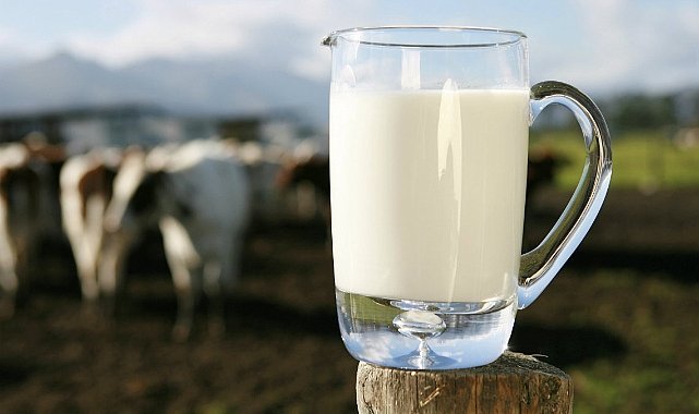 Çiğ Süt Desteği Cuma Günü Ödenecek