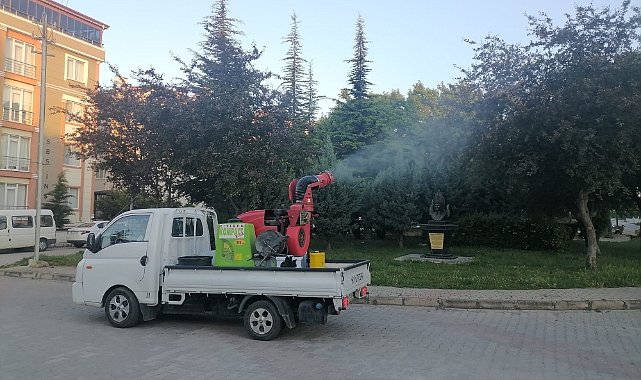 Kırklareli Belediyesi Dantel Böceği ile Mücadelesini Sürdürüyor