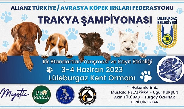 Köpekler Lüleburgaz’da Yarışıyor