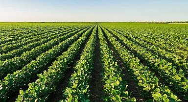 Tarımsal Girdi Fiyat Endeksi Yıllık %40,20, Aylık %0,63 Arttı