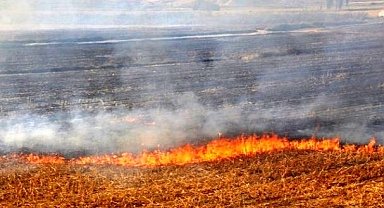 Anız Yangınları Tarım Arazilerinde Ciddi Zararlara Açıyor 