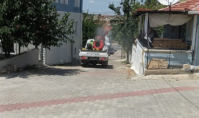 Doğu Mahallesi’nde İlaçlama Çalışması