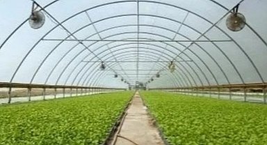 Hibe Almaya Hak Kazanan Üreticilerin Listesi Açıklandı