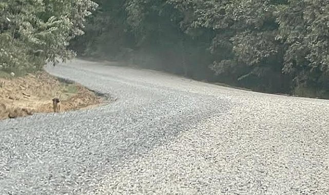 İl Özel İdaresi Beklenen Yolu Bitirdi