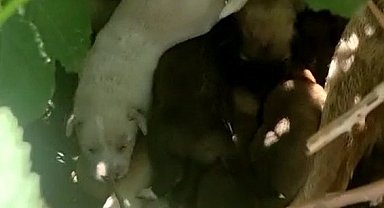 İşte Sevginin Fotoğrafı