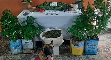 Jandarma’dan Zehir Tacirlerine Geçit Yok