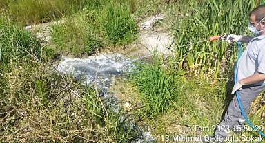 Lüleburgaz Belediyesi'nin Sivrisineklerle Savaşı Sürüyor