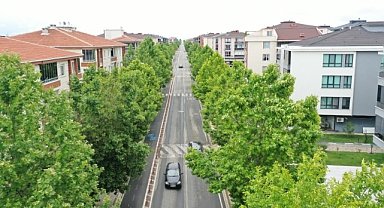 Lüleburgaz’da Ağaçlandırma Çalışmaları Sürüyor