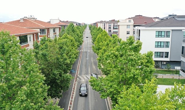 Lüleburgaz’da Ağaçlandırma Çalışmaları Sürüyor