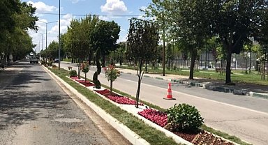 Orta Refüjlere Yeni Görünüm