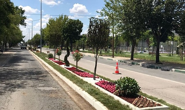 Orta Refüjlere Yeni Görünüm