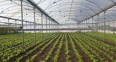 Üreticilerin Beklediği Duyuru Geldi